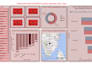 create professional power bi dashboards and data visualizations